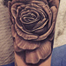 Tattoos - Black and Gray Roses - 78429